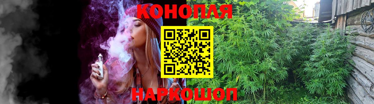 Бошки марихуана индика Курчатов